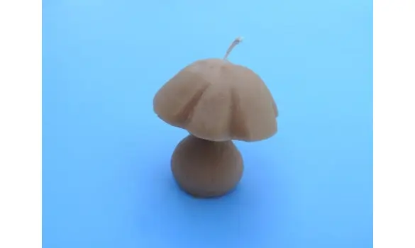 Bougie en cire d'abeilles cèpe