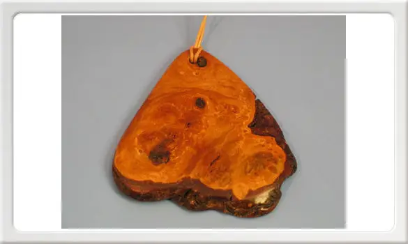 Pendentif en loupe d'aulne